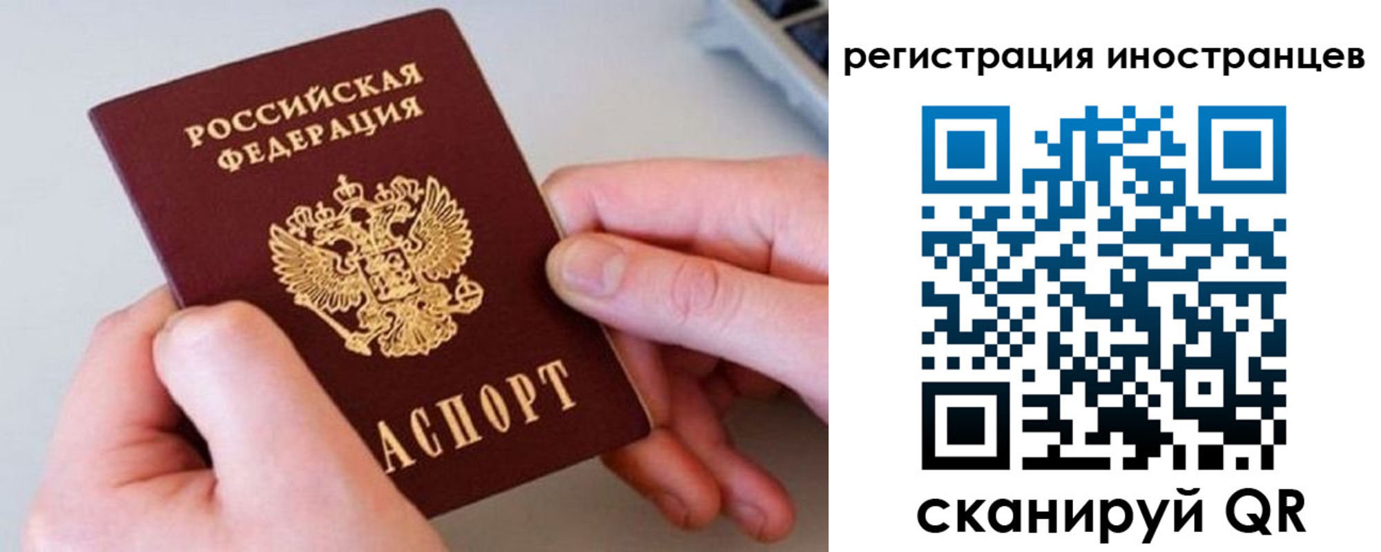 регистрация в Судогде